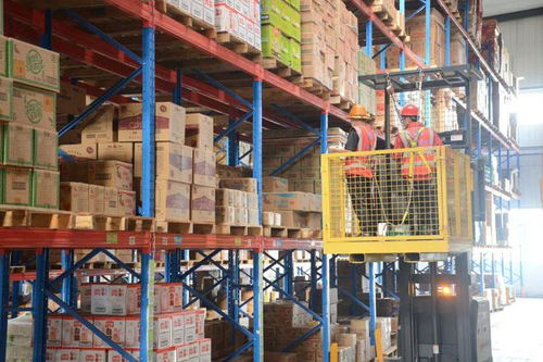 數(shù)字化轉(zhuǎn)型 一場被低估的食品行業(yè)物流戰(zhàn)爭